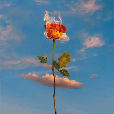 港澳宝典下载手机版